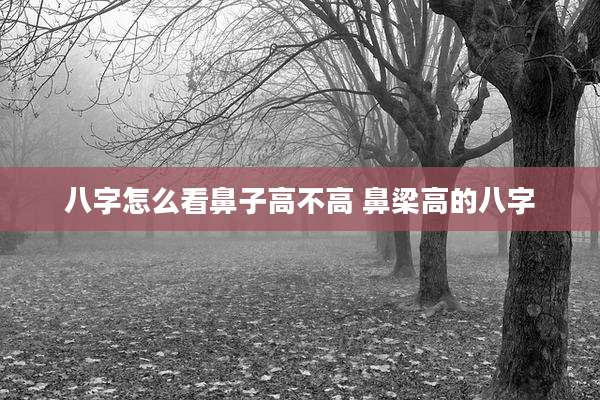 八字怎么看鼻子高不高 鼻梁高的八字