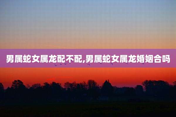 男属蛇女属龙配不配,男属蛇女属龙婚姻合吗