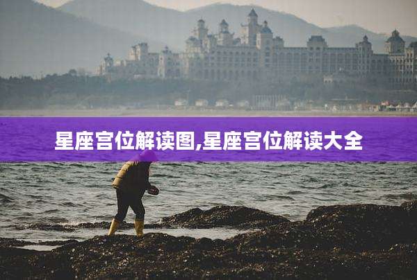 星座宫位解读图,星座宫位解读大全
