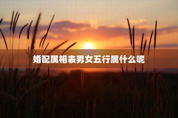 婚配属相表男女五行属什么呢