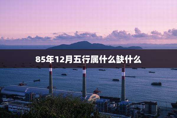 85年12月五行属什么缺什么