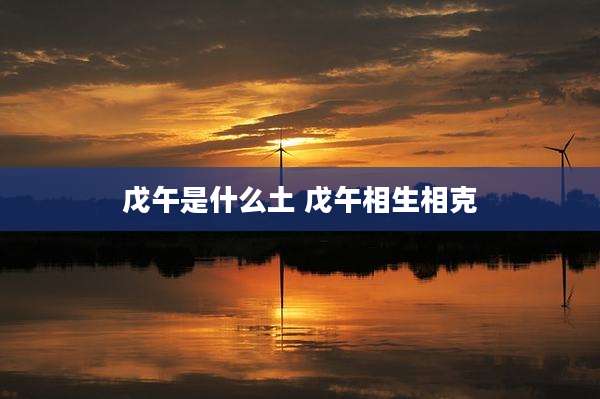 戊午是什么土 戊午相生相克