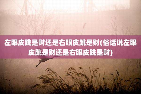 左眼皮跳是财还是右眼皮跳是财(俗话说左眼皮跳是财还是右眼皮跳是财)