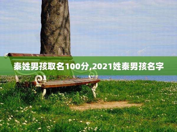 秦姓男孩取名100分,2021姓秦男孩名字