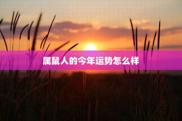 属鼠人的今年运势怎么样
