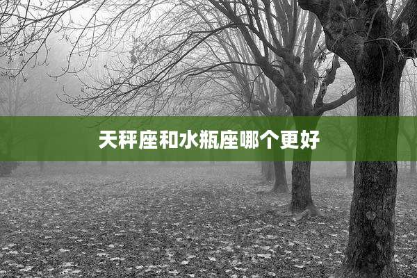 天秤座和水瓶座哪个更好