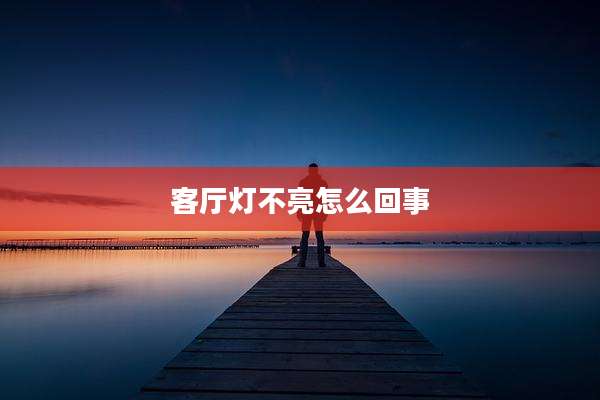 客厅灯不亮怎么回事