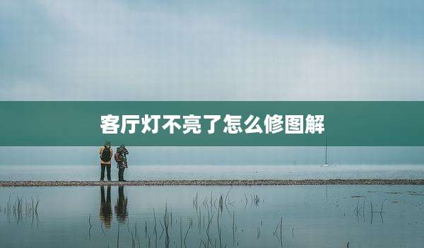 客厅灯不亮了怎么修图解