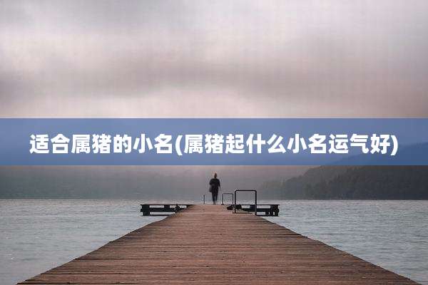 适合属猪的小名(属猪起什么小名运气好)