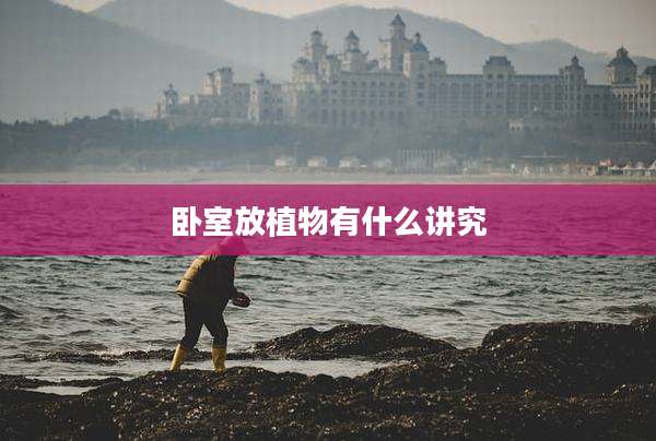 卧室放植物有什么讲究