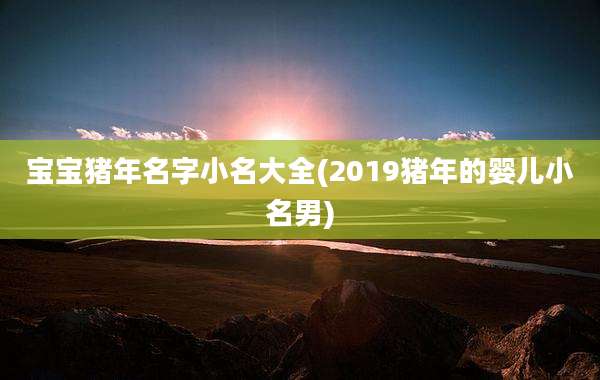 宝宝猪年名字小名大全(2019猪年的婴儿小名男)