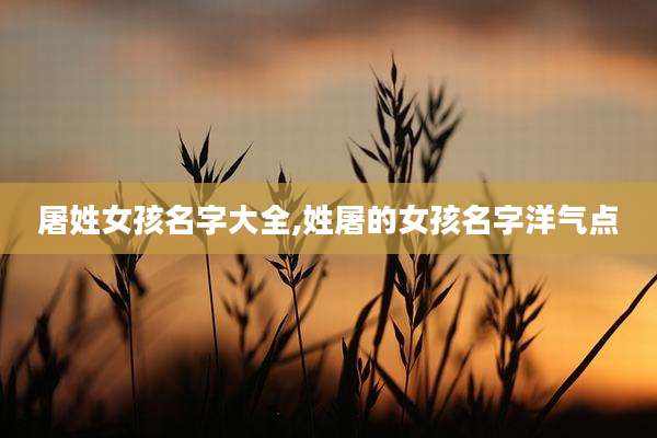 屠姓女孩名字大全,姓屠的女孩名字洋气点