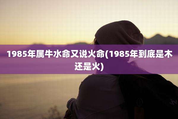 1985年属牛水命又说火命(1985年到底是木还是火)