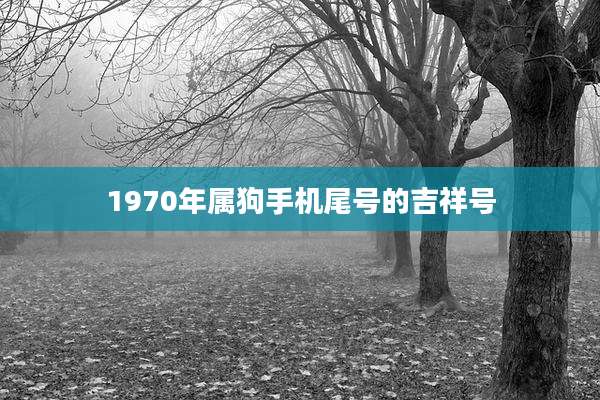 1970年属狗手机尾号的吉祥号