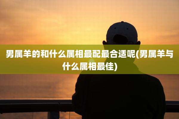男属羊的和什么属相最配最合适呢(男属羊与什么属相最佳)