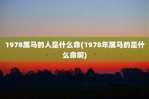 1978属马的人是什么命(1978年属马的是什么命啊)