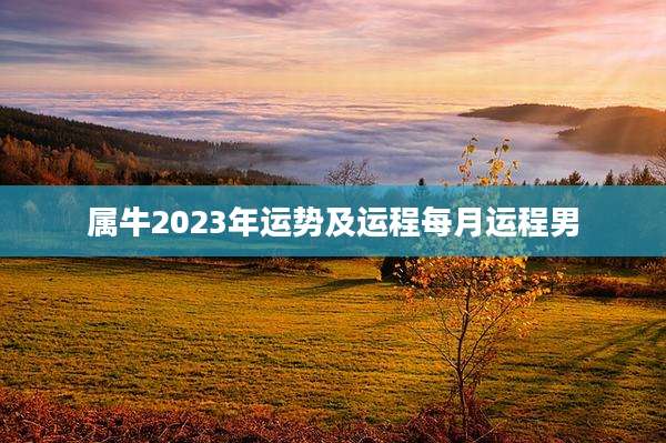 属牛2023年运势及运程每月运程男
