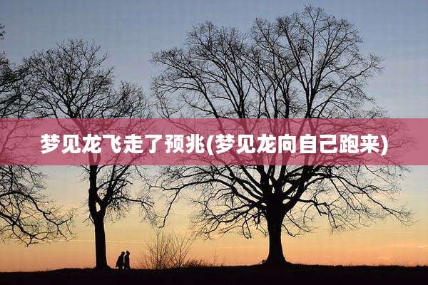 梦见龙飞走了预兆(梦见龙向自己跑来)