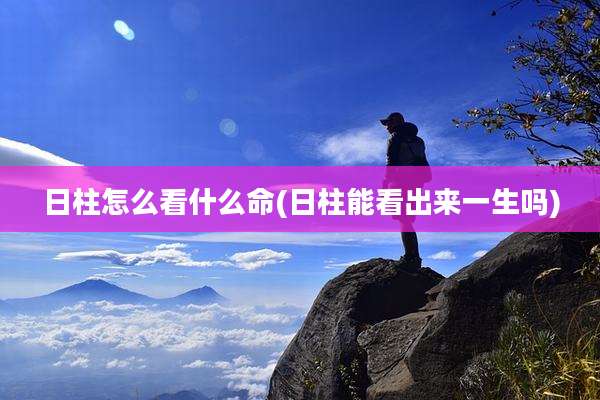 日柱怎么看什么命(日柱能看出来一生吗)