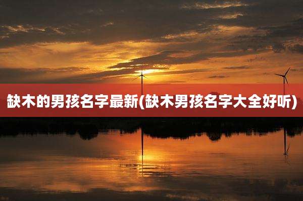 缺木的男孩名字最新(缺木男孩名字大全好听)