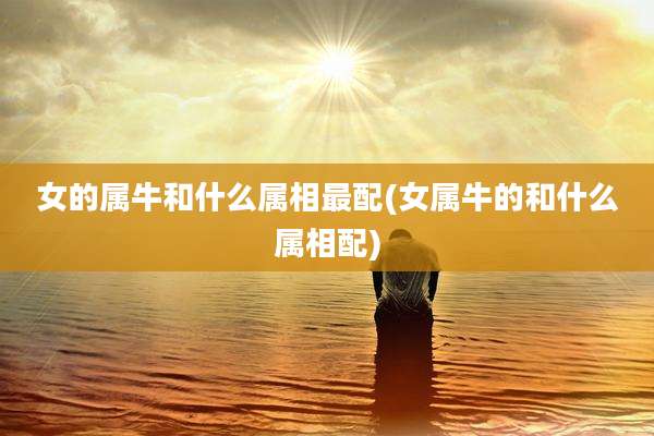 女的属牛和什么属相最配(女属牛的和什么属相配)