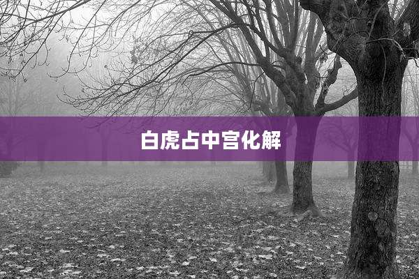 白虎占中宫化解