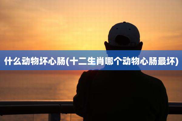 什么动物坏心肠(十二生肖哪个动物心肠最坏)