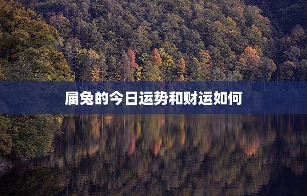 属兔的今日运势和财运如何