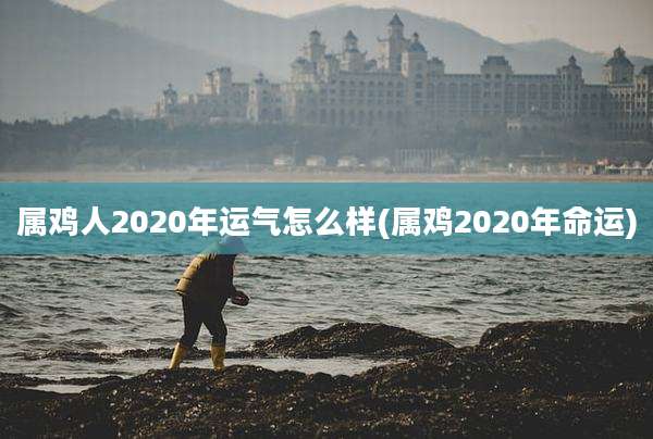 属鸡人2020年运气怎么样(属鸡2020年命运)