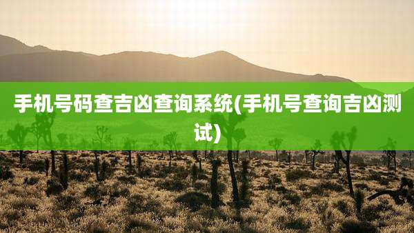手机号码查吉凶查询系统(手机号查询吉凶测试)
