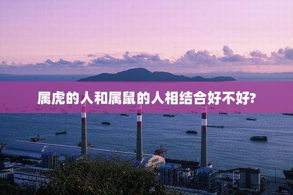属虎的人和属鼠的人相结合好不好?