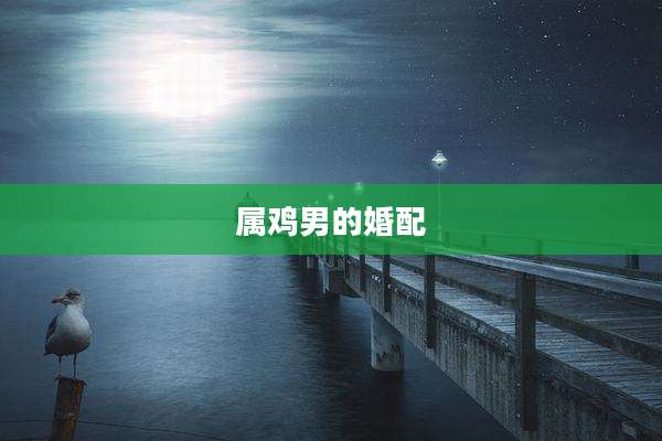 属鸡男的婚配