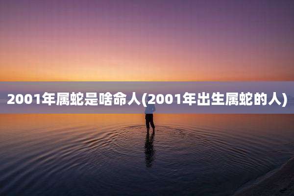 2001年属蛇是啥命人(2001年出生属蛇的人)