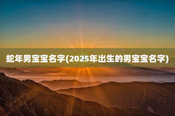 蛇年男宝宝名字(2025年出生的男宝宝名字)