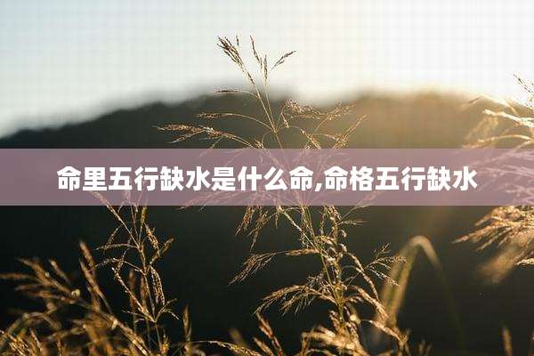 命里五行缺水是什么命,命格五行缺水