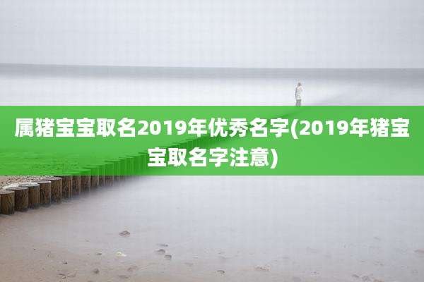 属猪宝宝取名2019年优秀名字(2019年猪宝宝取名字注意)
