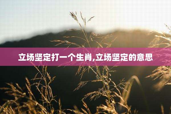 立场坚定打一个生肖,立场坚定的意思