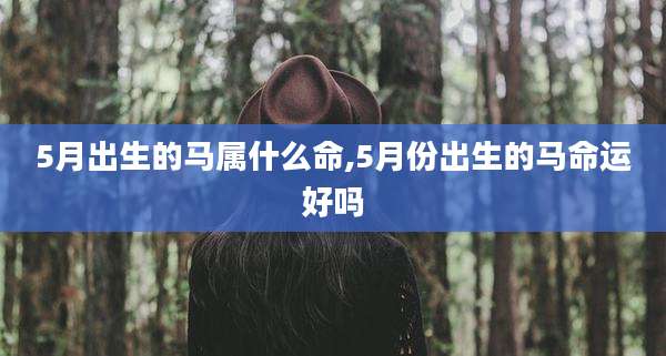 5月出生的马属什么命,5月份出生的马命运好吗