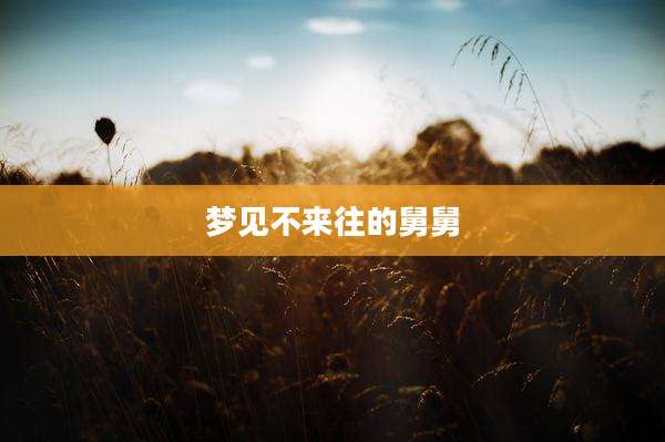 梦见不来往的舅舅
