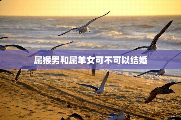 属猴男和属羊女可不可以结婚