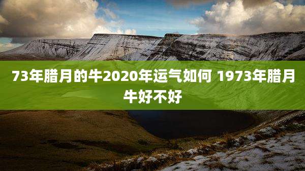 73年腊月的牛2020年运气如何 1973年腊月牛好不好