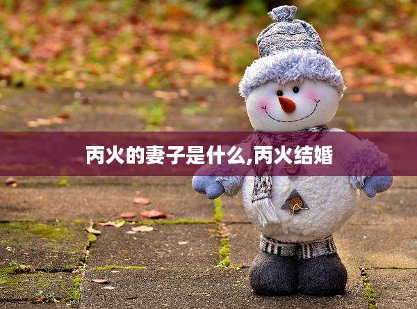 丙火的妻子是什么,丙火结婚