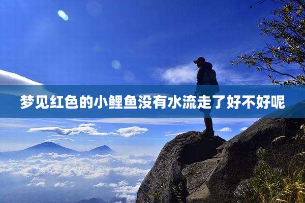 梦见红色的小鲤鱼没有水流走了好不好呢