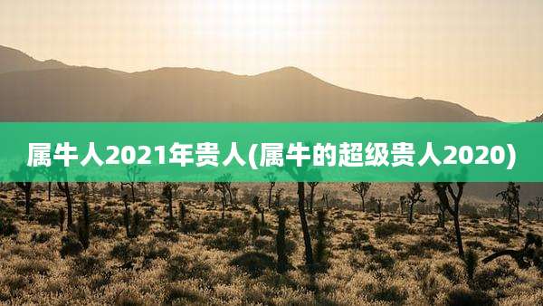 属牛人2021年贵人(属牛的超级贵人2020)