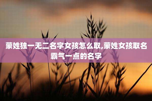 蒙姓独一无二名字女孩怎么取,蒙姓女孩取名霸气一点的名字