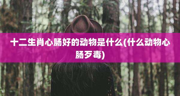 十二生肖心肠好的动物是什么(什么动物心肠歹毒)