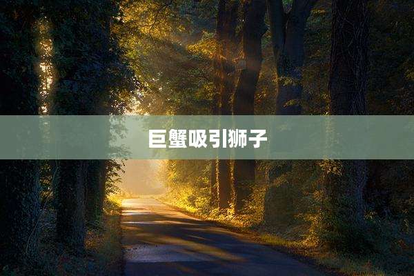 巨蟹吸引狮子