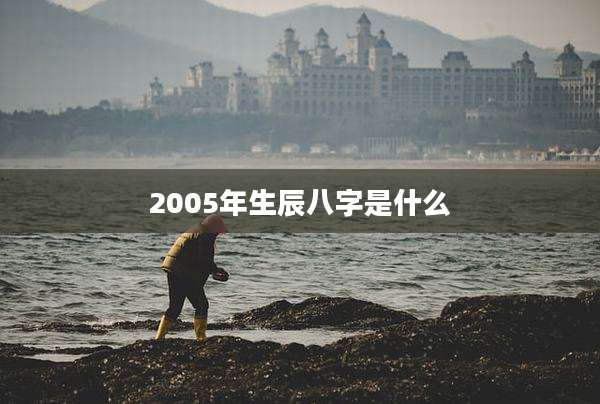 2005年生辰八字是什么