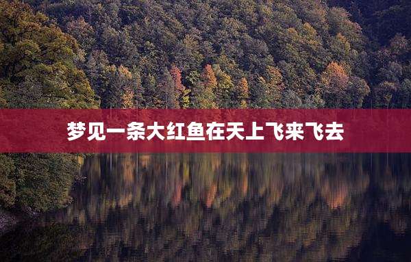 梦见一条大红鱼在天上飞来飞去