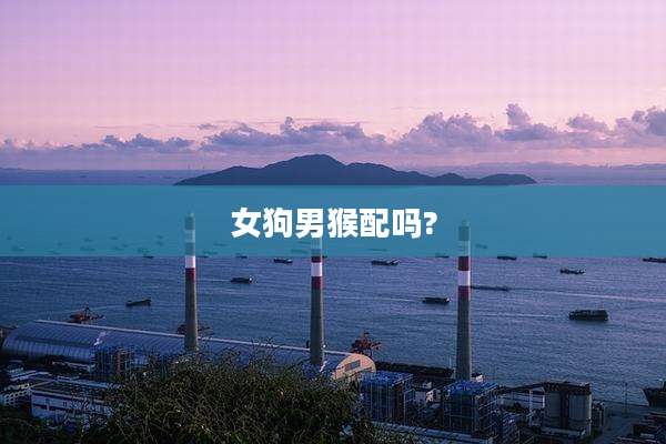女狗男猴配吗?